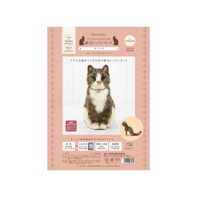 Hamanaka Realistic Needle Felting Kit - Brown Tabby Cat