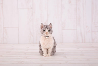 Hamanaka Realistic Needle Felting Kit - Grey Tabby Cat