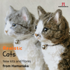 Hamanaka Realistic Needle Felting Kit - Brown Tabby Cat